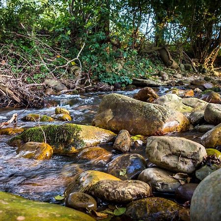 Apartamentos Rincon Del Duende San Martin  Εξωτερικό φωτογραφία